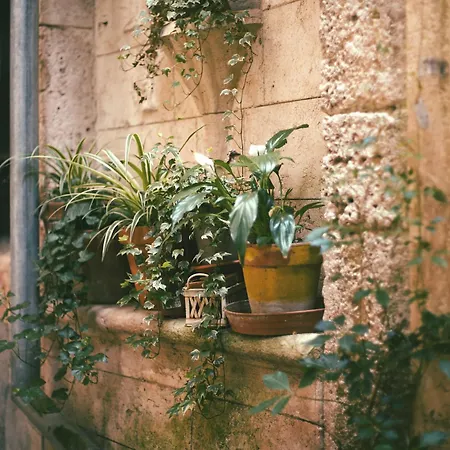 Palazzo Castrucci Homestay Alvito