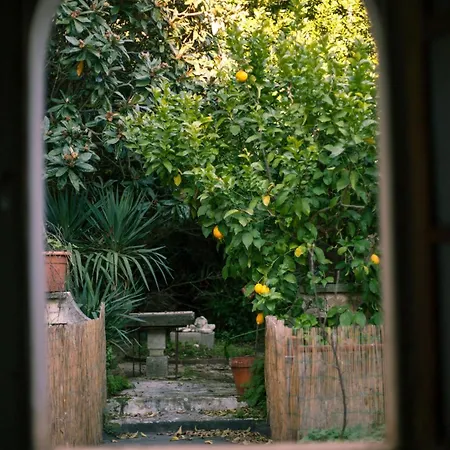 ホームステイ Palazzo Castrucci *